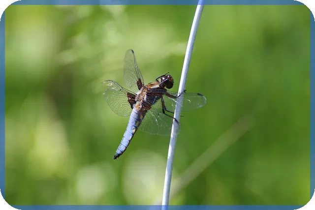 아우디A8할인 최대 혜택 확보 방법 알아보기