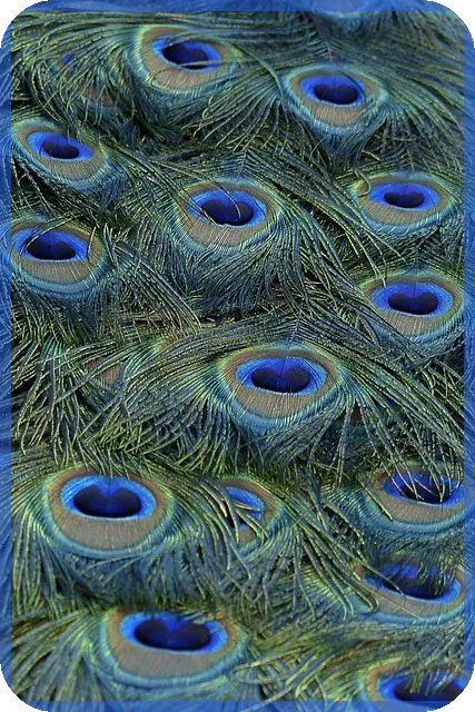 울진경매 울진읍 퍼스트클래스 오피스텔 낙찰 확률 높이는 방법