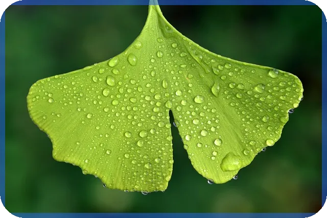 은행상담으로 전세자금대출 성공 노하우 공개