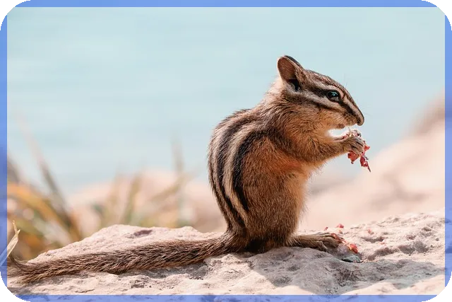 전세대출상담사 선택법 안전하게 상담 받는 3단계