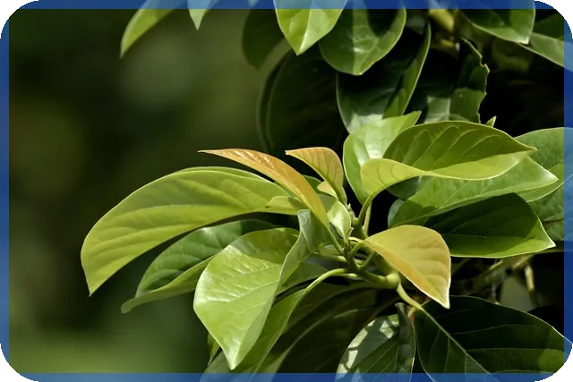 주가상승종목 5월4주차 특징주 분석과 투자 전략