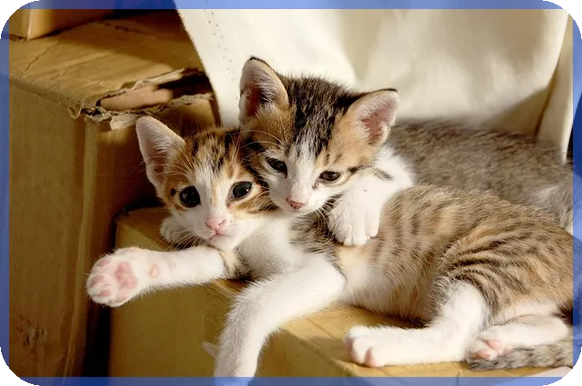 주가상승종목 5월4주차 특징주 분석과 투자 전략