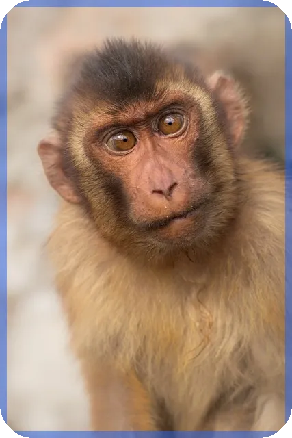 퇴직연금가입방법과 조회 수령 중도인출 완전 정리