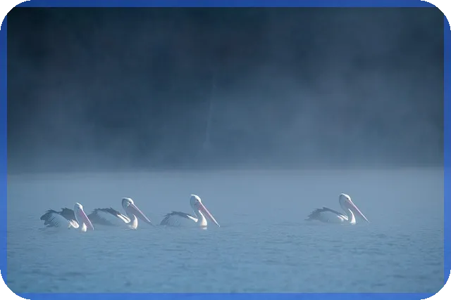 행복지원대출 신청과 금리조건 완전 정리