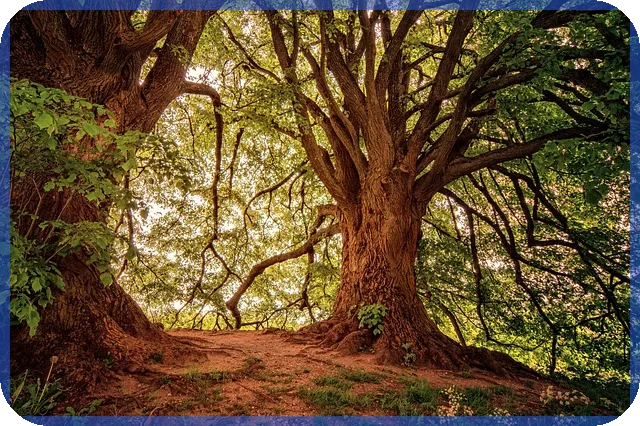 7인승카니발로 떠나는 캠핑전략 테트리스 팁