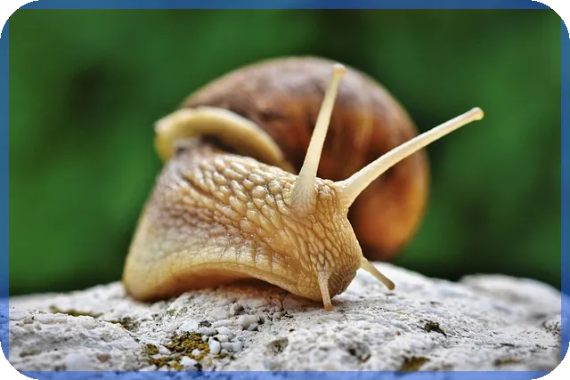 감사선임 과정 및 자격 논란 분석