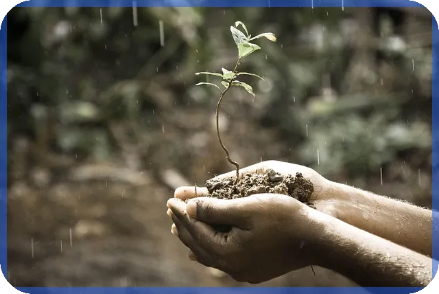 기업은행사업자대출 금융 전략과 정책자금 활용법