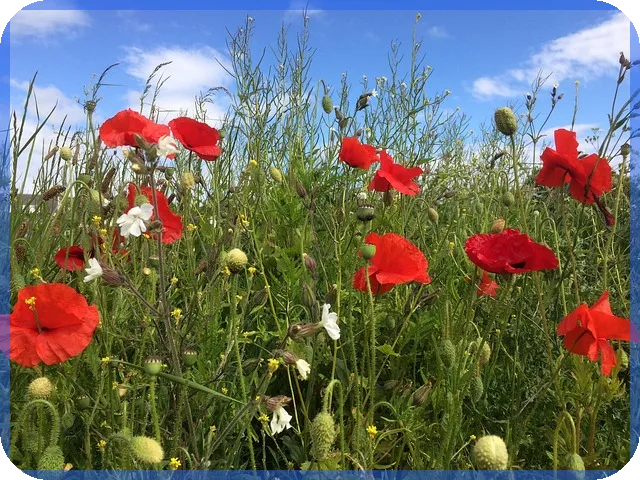 농협소상공인대출 지혜롭게 활용하는 방법