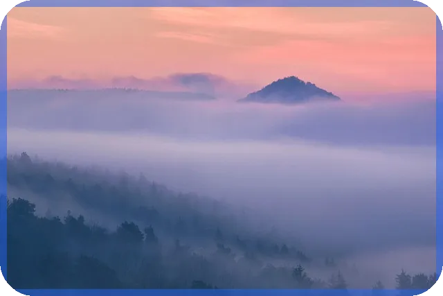 부동산개발업전문인력 자격조건과 필요성 한눈에