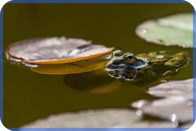 여수대출 쉽게 받는 방법과 지원 제도 안내
