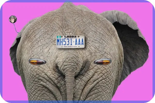 여수대출 쉽게 받는 방법과 지원 제도 안내