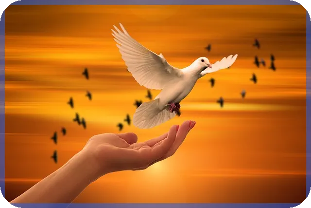 온라인전당포 맡길 수 있는 물품 총정리와 안전 이용법