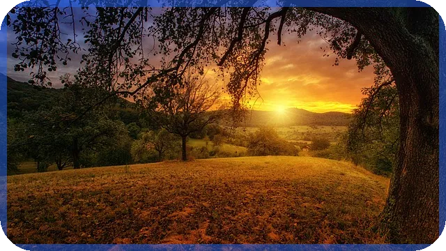 용인수지경매 주요 매물분석 환급가격 상승 전망은