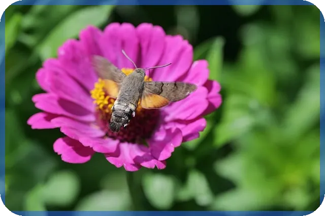 용인수지경매 주요 매물분석 환급가격 상승 전망은