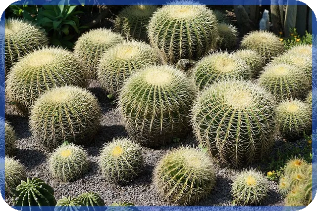 인천소상공인대출 실패 방지 3가지 핵심꿀팁