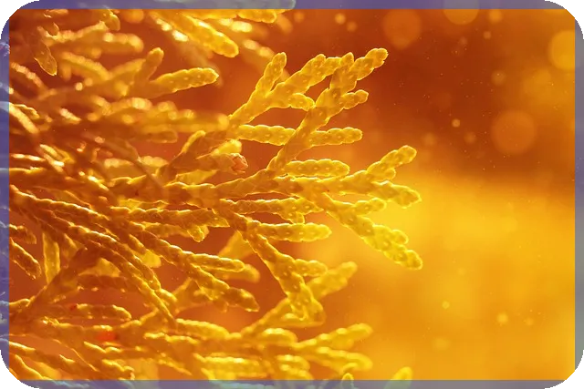 재무모델 작성법 해외 인프라 투자 핵심 전략