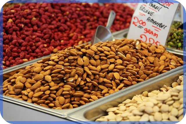 재무모델 작성법 해외 인프라 투자 핵심 전략