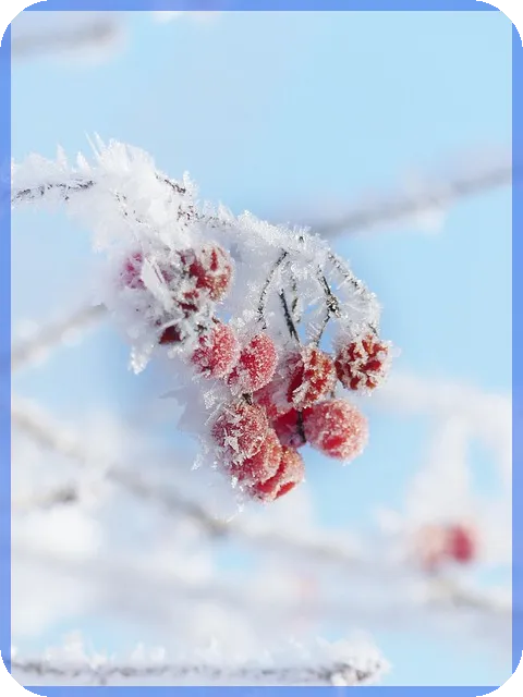재무모델 작성법 해외 인프라 투자 핵심 전략