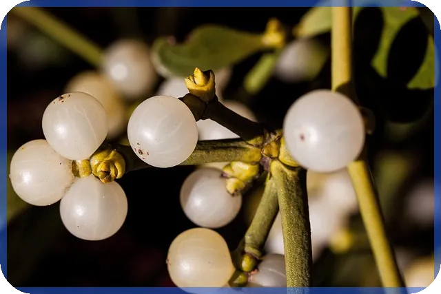 전세권대출 안전한 자금 활용 방법 알아보기