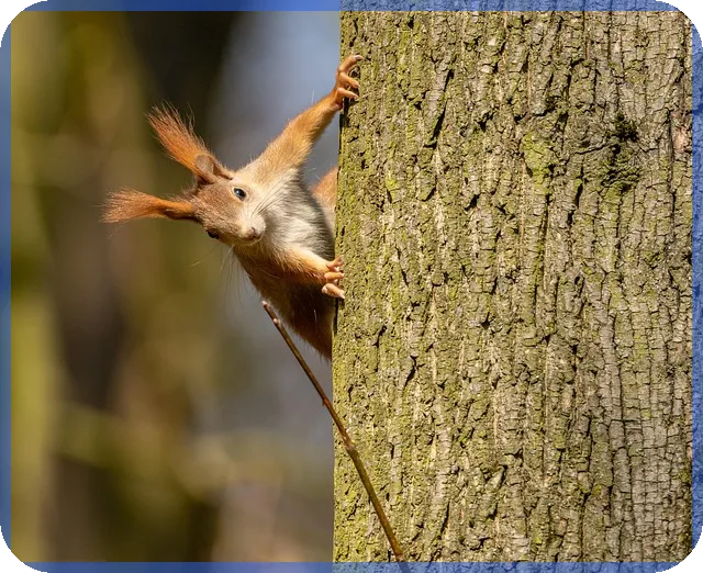 주거급여수급자대출 혜택과 신청법 알아보기
