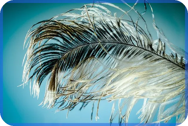 증권회사순위보다 중요한 선택법과 수수료 비교