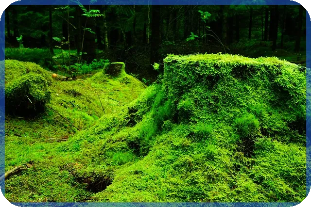 천안아산경매 내 집 마련의 돈 되는 기회