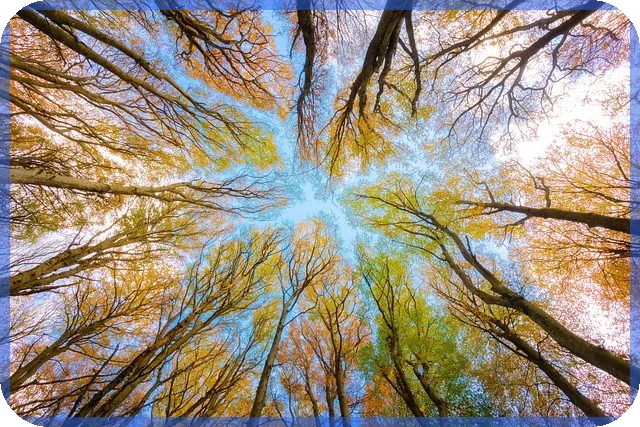 천안아산경매 내 집 마련의 돈 되는 기회