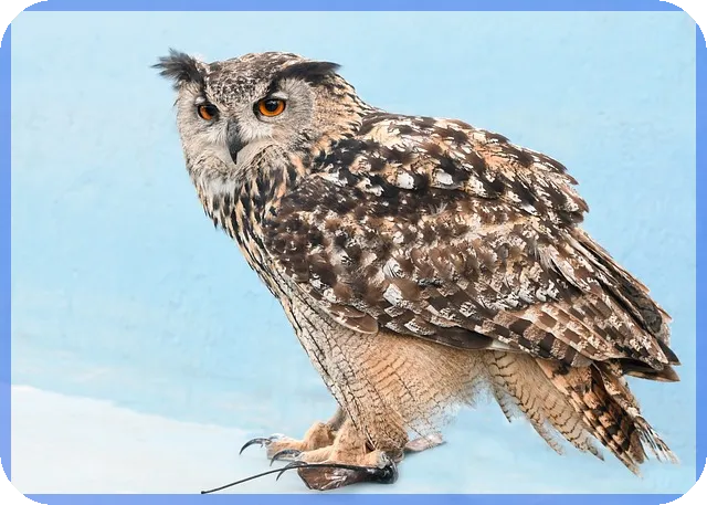 청년정부대출 조건과 신청방법 쉽게 이해하기