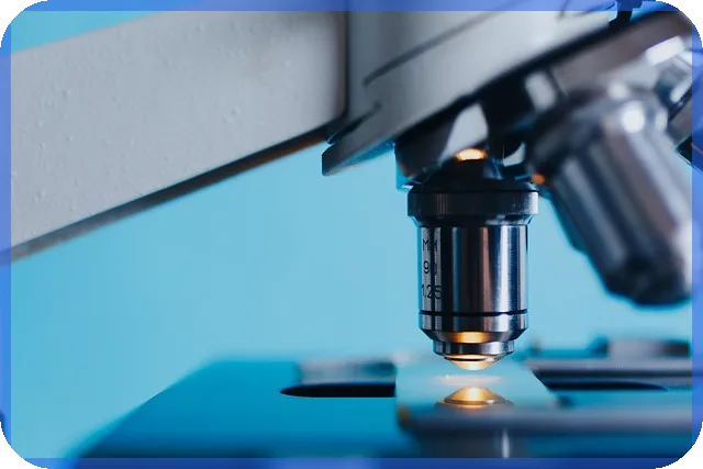 토마스론 성인과 철학적 사유의 깊이 탐구하기