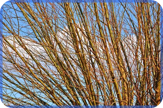 해외펀드 투자 성공 전략과 수익률 향상 방법