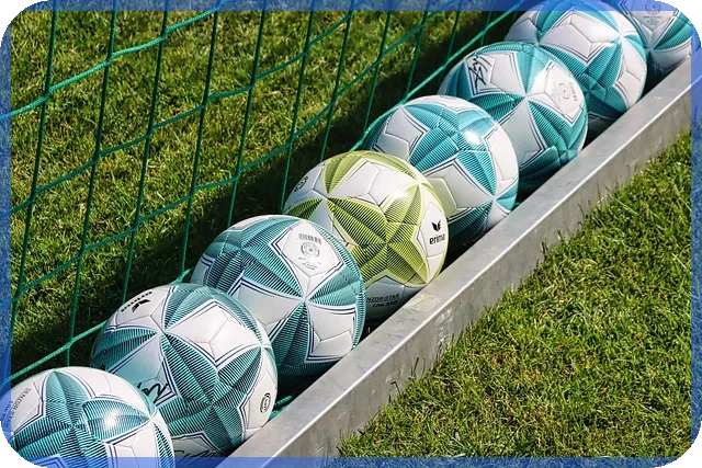 화원창업 전문가 되기 화훼기술과 창업 전략 전략은 무엇일까