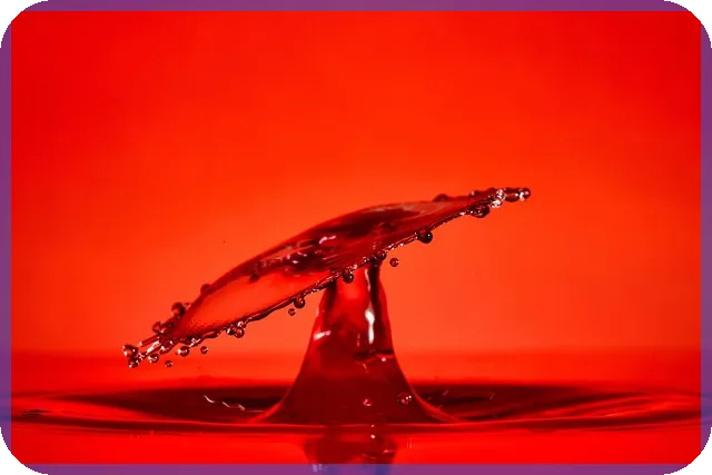 화원창업 전문가 되기 화훼기술과 창업 전략 전략은 무엇일까