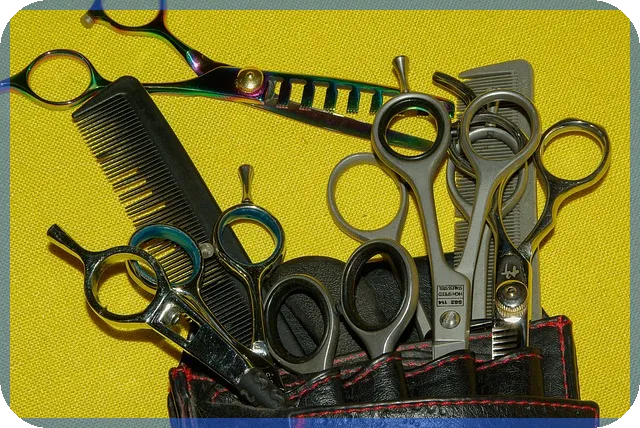 화원창업 전문가 되기 화훼기술과 창업 전략 전략은 무엇일까