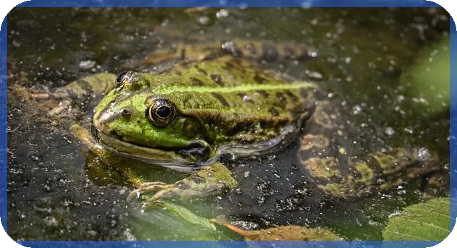 연말정산 예상환급금 조회 방법과 최신 세액 계산 전략